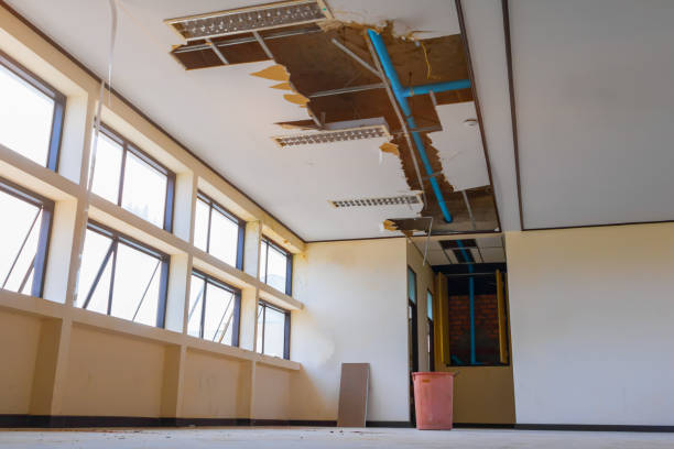 Best Carpet water damage restoration  in Moody, AL