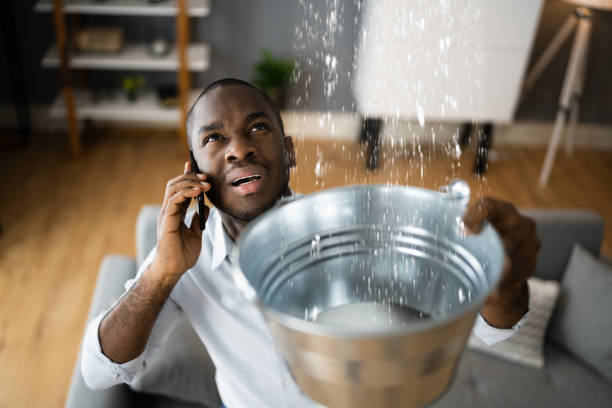 Best Water damage contractors near me  in Moody, AL