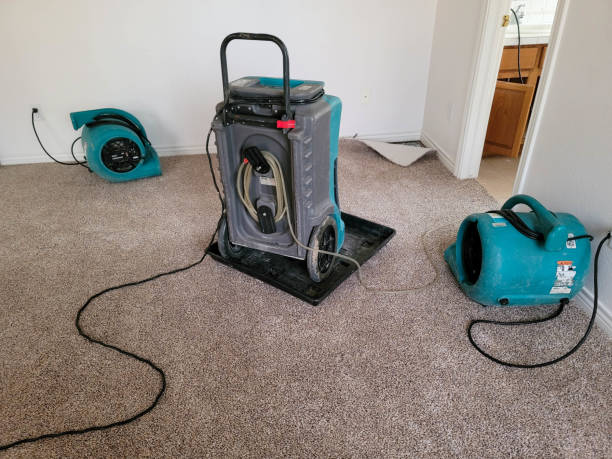 Best Local water damage restoration  in Moody, AL