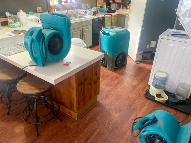 Trusted Moody, AL Water damage restoration Experts