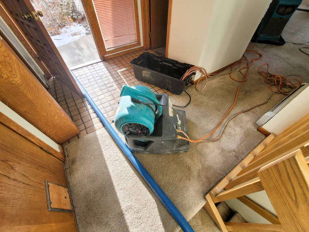 Best Flood damage cleanup  in Moody, AL