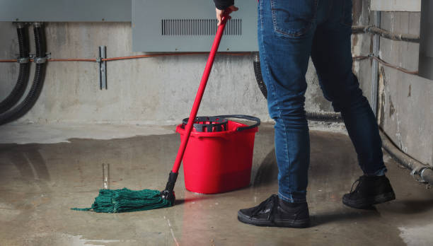Best Commercial water damage restoration  in Moody, AL
