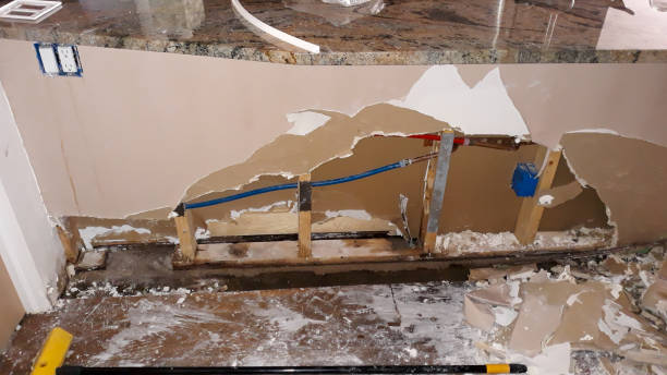 Best Basement water damage restoration  in Moody, AL