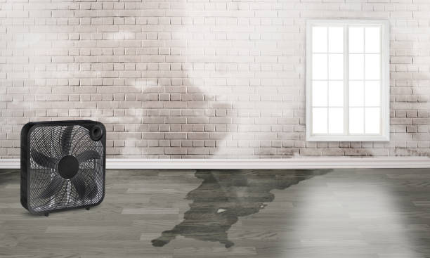 Best Fire Damage Restoration  in Moody, AL
