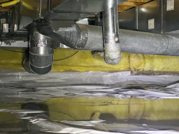 Best Water damage cleanup near me  in Moody, AL